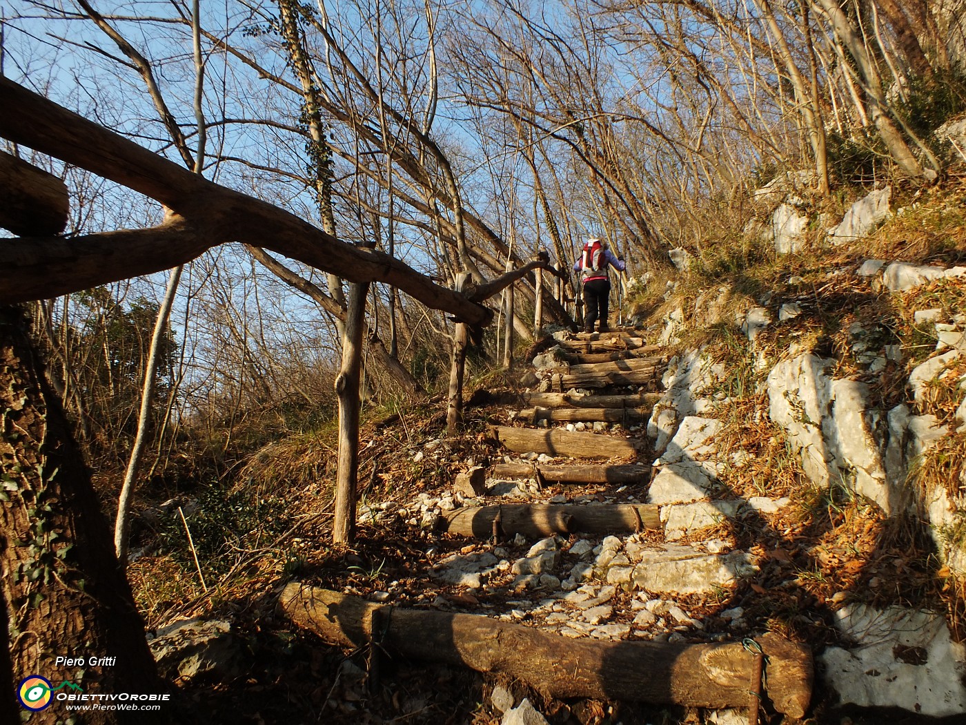 09 Tratto ben gradinato in legno.JPG